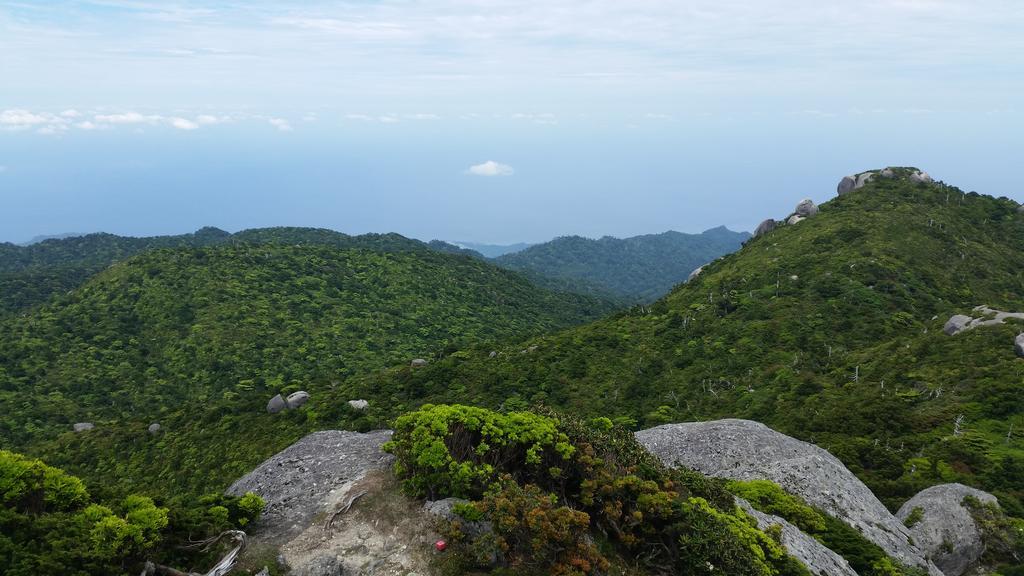 Minnsyuku Yakushimaya Yakushima  Exterior foto