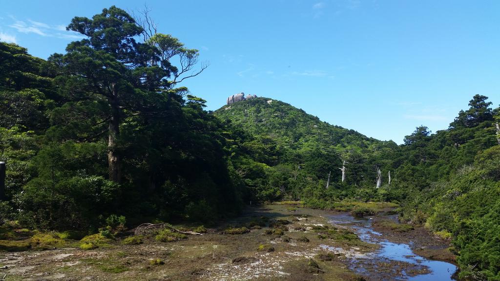 Minnsyuku Yakushimaya Yakushima  Exterior foto