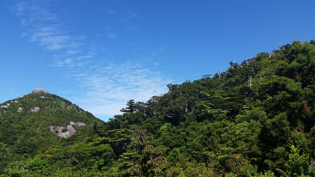 Minnsyuku Yakushimaya Yakushima  Exterior foto